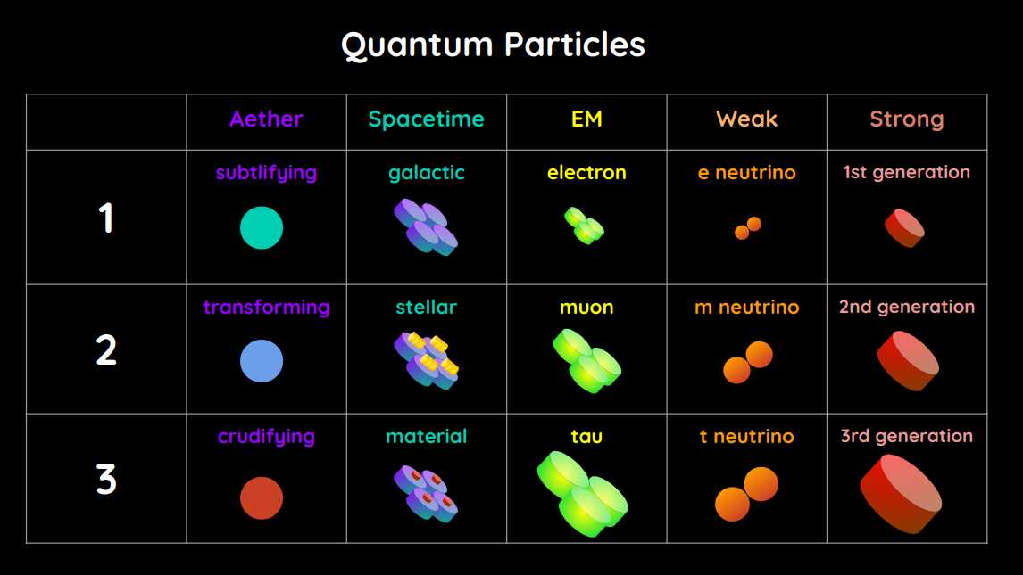 The Shapes of the Particles