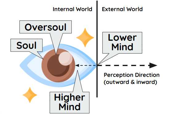 The Direction of Perception