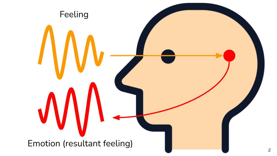 The Nature of Feelings and Emotions